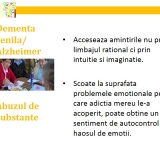 Slide11